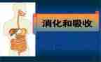 消化内科护士工作计划7篇