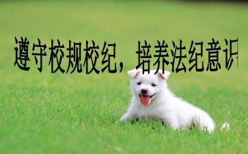 校纪检部工作总结推荐8篇
