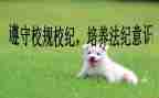 校纪检部工作总结推荐8篇