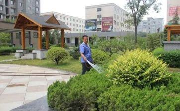 小区物业年工作计划6篇