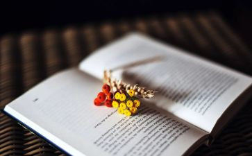 优秀小说读后感8篇