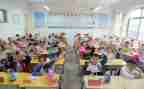 小学生调查报告调查报告优质5篇