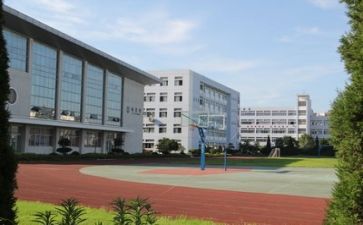 校园文化调查报告5篇