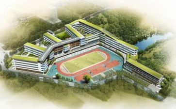 校园安全活动总结模板6篇