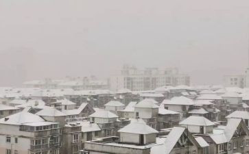 下雪的优秀作文精选6篇