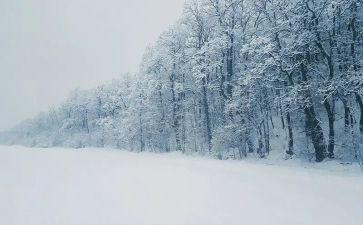 小班下雪天教案模板5篇