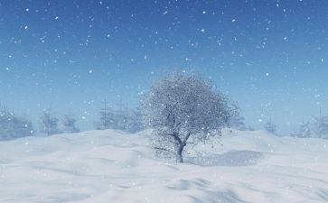 小班下雪天教案5篇