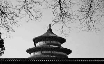 写物业个人年终总结优质8篇