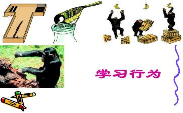 行为力演讲稿7篇