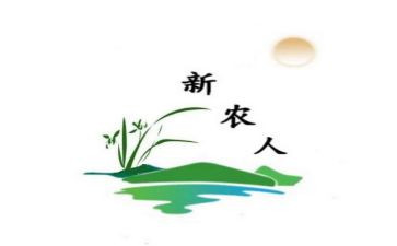 2024年新农合工作总结优质6篇