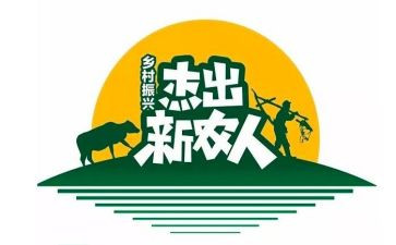 新农村建设的心得体会6篇