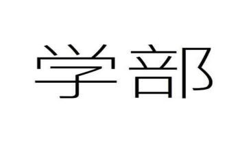 大学部门的述职报告6篇