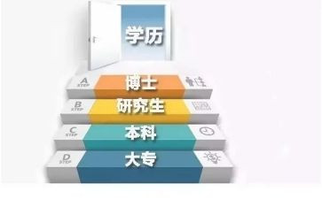 学历史的心得体会最新6篇