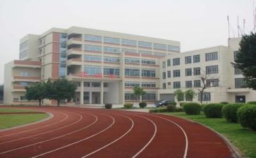 学校食堂活动方案优质6篇