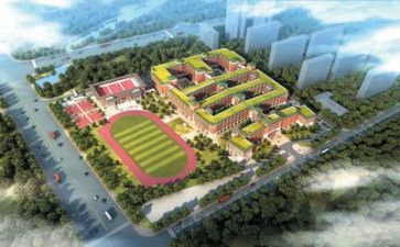 学校教师的培训总结6篇
