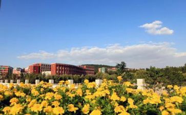 2024学校安全办工作总结参考7篇