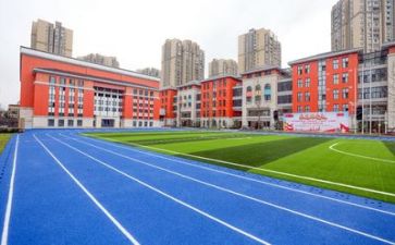 在学校个人总结通用8篇