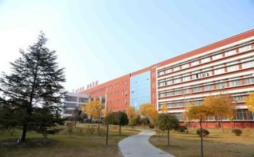 学校安全工作心得体会参考5篇
