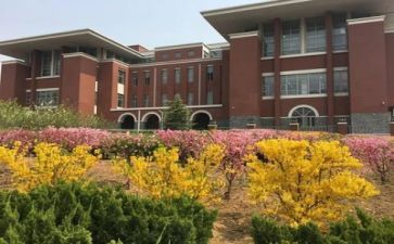 学校财务个人述职报告7篇