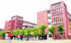 学校大调研报告5篇