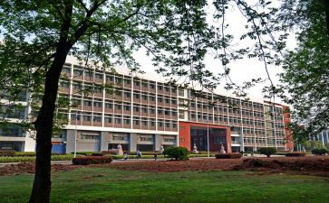 2024年学院工作总结报告5篇