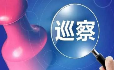 巡察组长巡察工作总结7篇