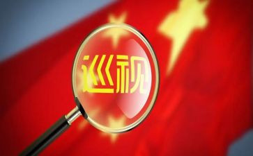 巡察员述职述廉报告6篇