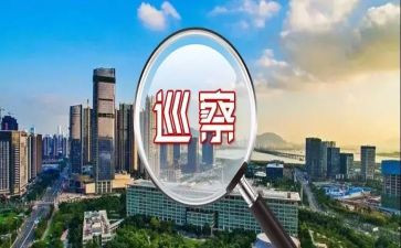 水巡察组工作总结6篇