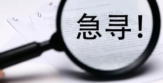 寻访活动总结5篇