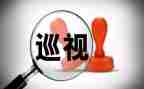 党巡视工作条例心得体会6篇