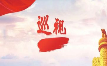 2024年巡视组工作总结8篇