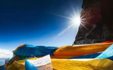 寻找阳光的作文优质7篇