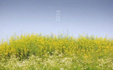 初中写人叙事作文800字6篇