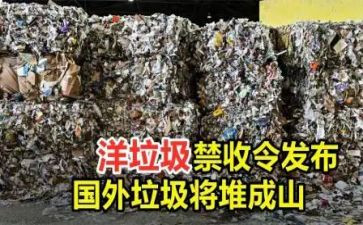 洋垃圾心得体会6篇