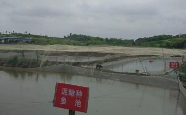 种养殖培训心得体会7篇