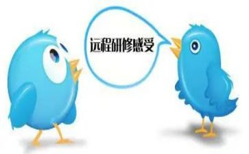 2.0培训研修总结模板6篇