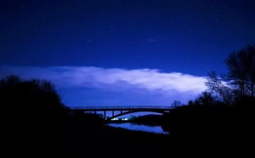 中秋团圆夜作文模板7篇