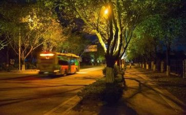 美丽的夜景小作文6篇