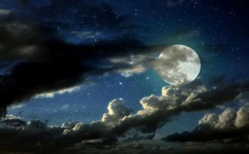一千零一夜,读后感精选6篇
