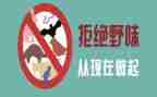 敬畏自然,拒绝野味作文5篇
