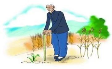 我怀念爷爷的作文模板8篇