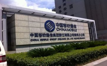 移动工作个人总结8篇