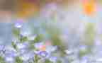 7月一个月工作总结范文5篇