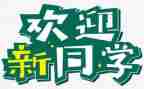 元旦活动迎新活动方案6篇