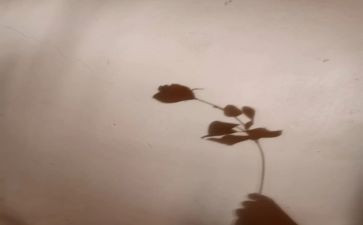 校长影子培训心得体会5篇