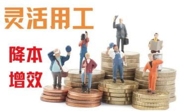 教师的试用工作总结模板5篇
