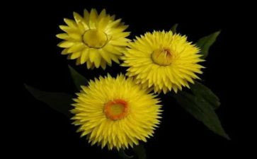 永恒的光作文参考5篇