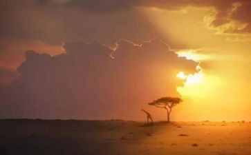 永恒的光作文推荐5篇