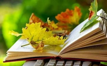 爱是永恒观后感8篇