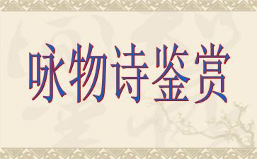 咏物的作文5篇